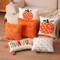 illow Covers 18x18 inch Set of 2 Orange Pumpkin Throw Pillow for Farmhouse
